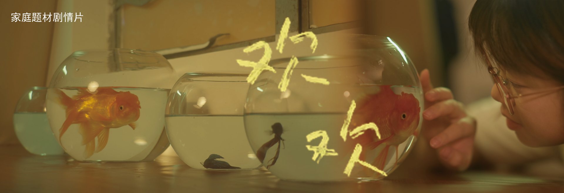 《欢欢》作品封面